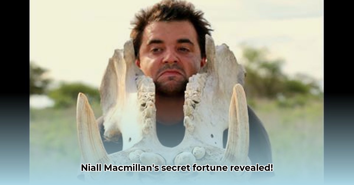 niall-macmillan-net-worth